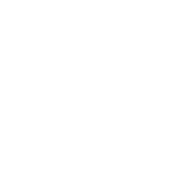 Small Business SBE Certified Enterprise